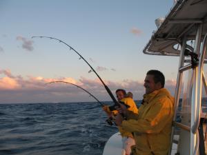 Double Header Action